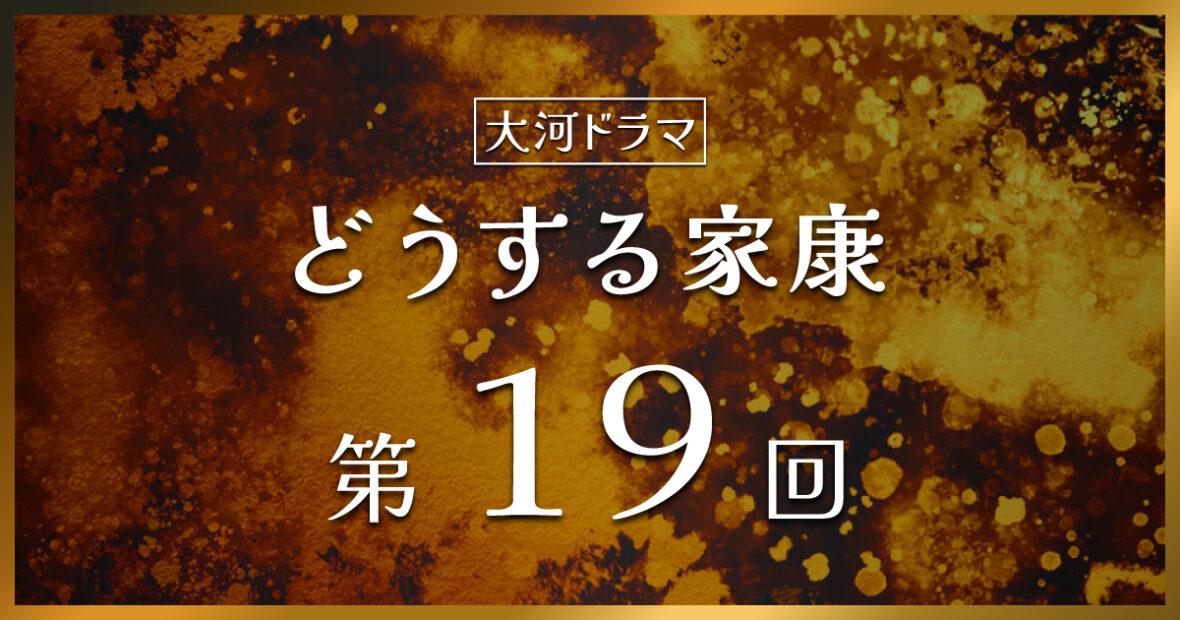 大河ドラマ「どうする家康」第19回