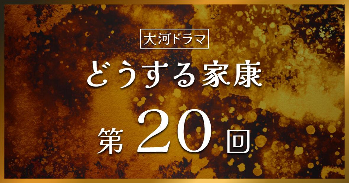 大河ドラマ「どうする家康」第20回