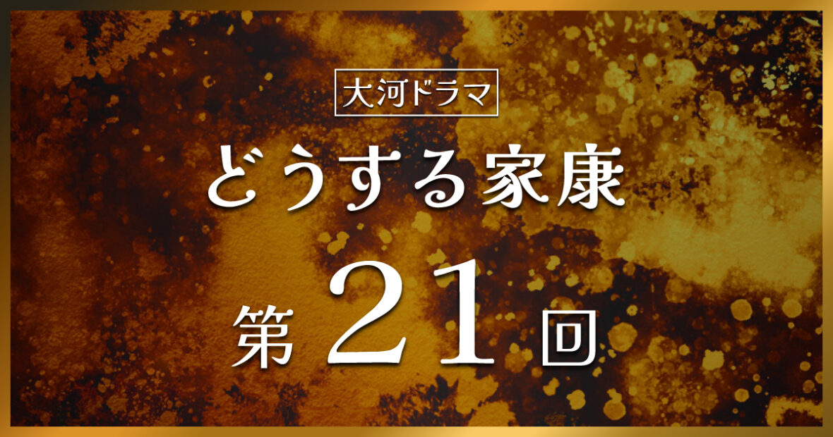 大河ドラマ「どうする家康」第21回