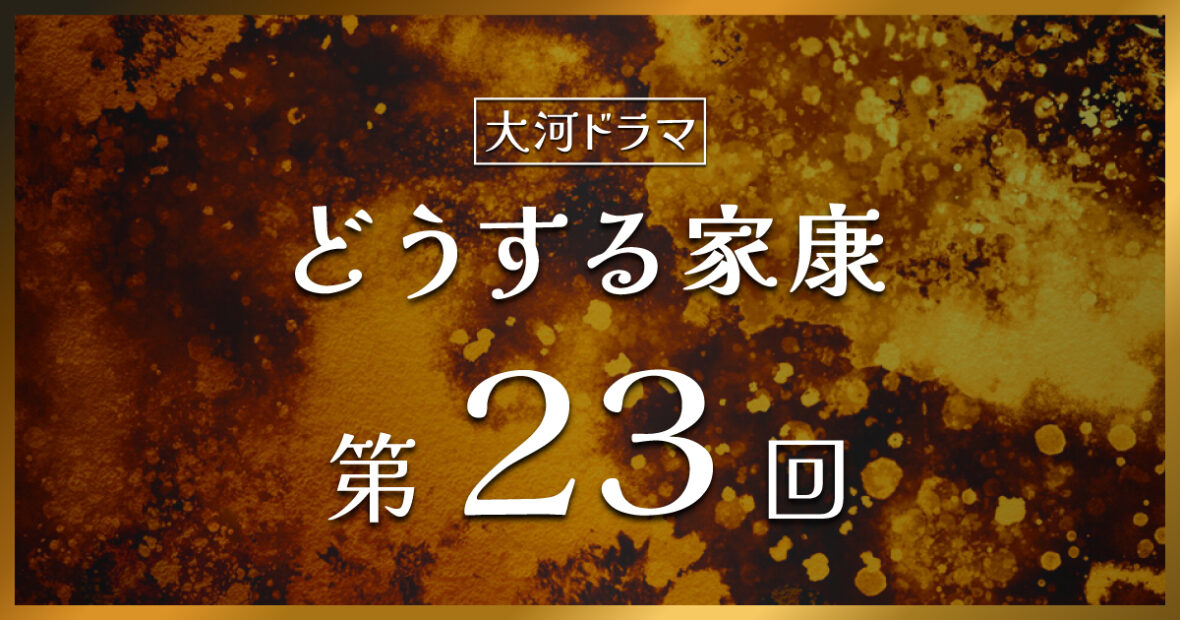 大河ドラマ「どうする家康」第23回