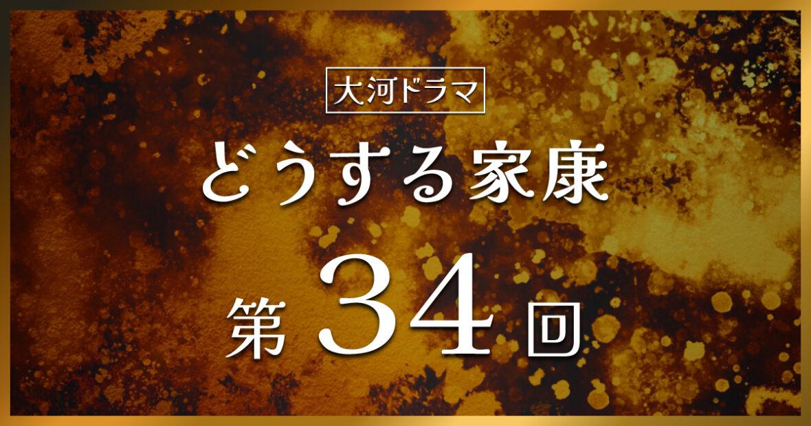 大河ドラマ「どうする家康」第34回